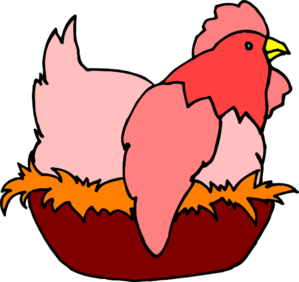Hen Chicken In Nest High Quality Image Clipart