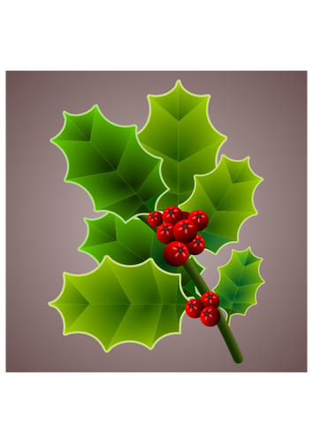 Holly Branch Image Clipart