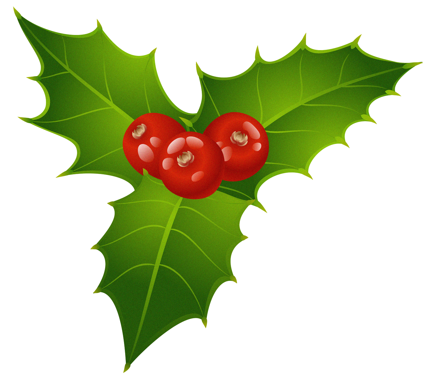 Cane Mistletoe Candy Common Holly Christmas Clipart