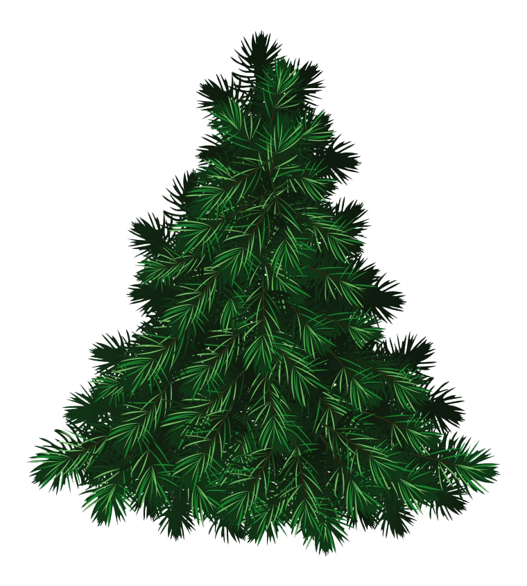 Fir Balsam Fraser Tree Pictures Free Photo PNG Clipart