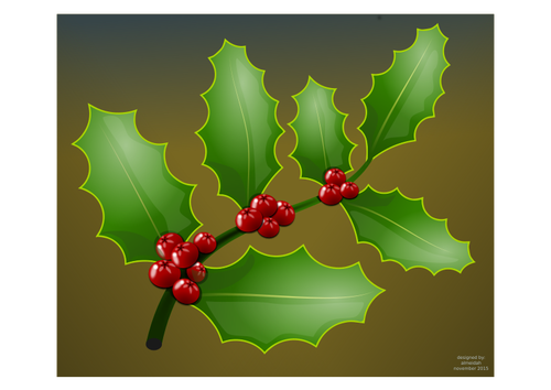 Holly Plant Clipart