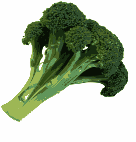 Photorealistic Of Broccoli Clipart