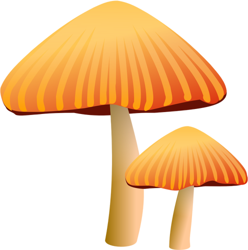 Orange Mushrooms Clipart