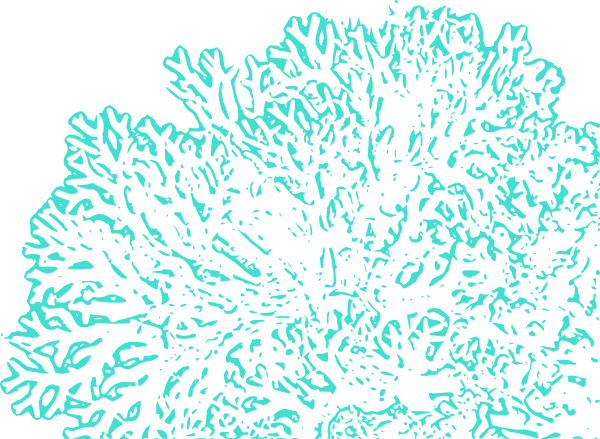 Coral Reef Png Images Clipart
