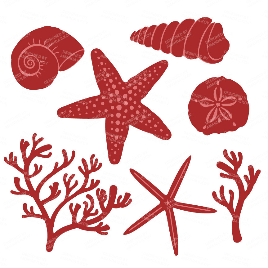 Coral Seashells In Christmas Mandy Art Market Clipart