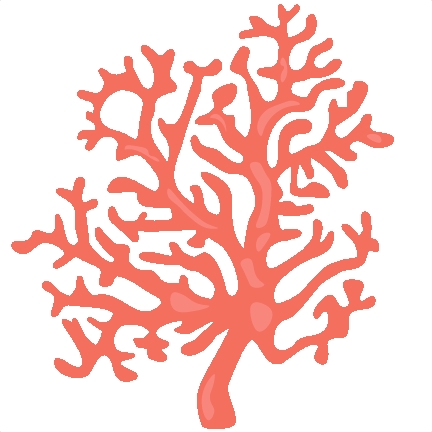 Coral Great Selection Transparent Image Clipart