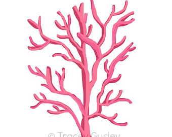 Coral Page 1 Hd Image Clipart