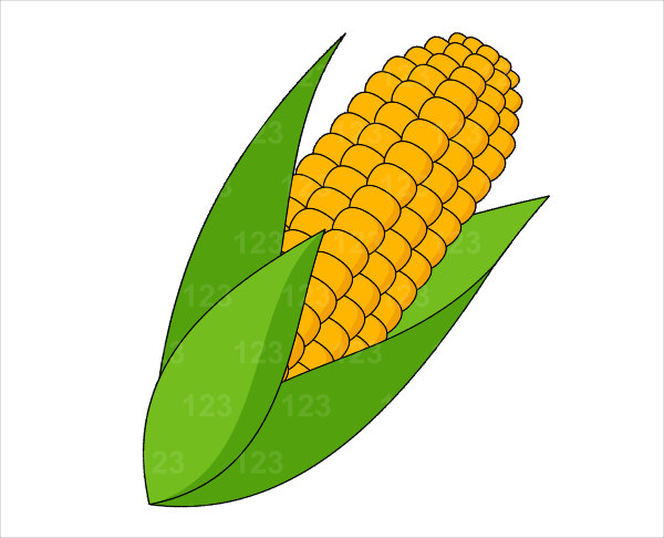 Corn Images Hd Image Clipart