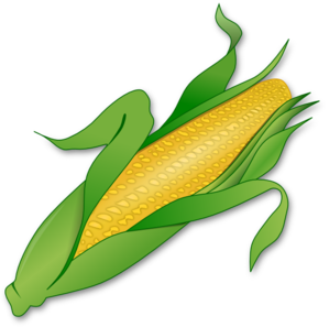 Corn At Clker Vector Image Png Clipart