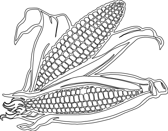 Free Corn Coloring Pages Hd Photo Clipart