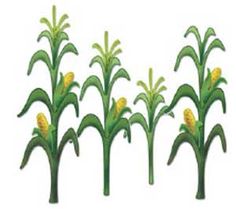 Thanksgiving Corn Download Png Clipart