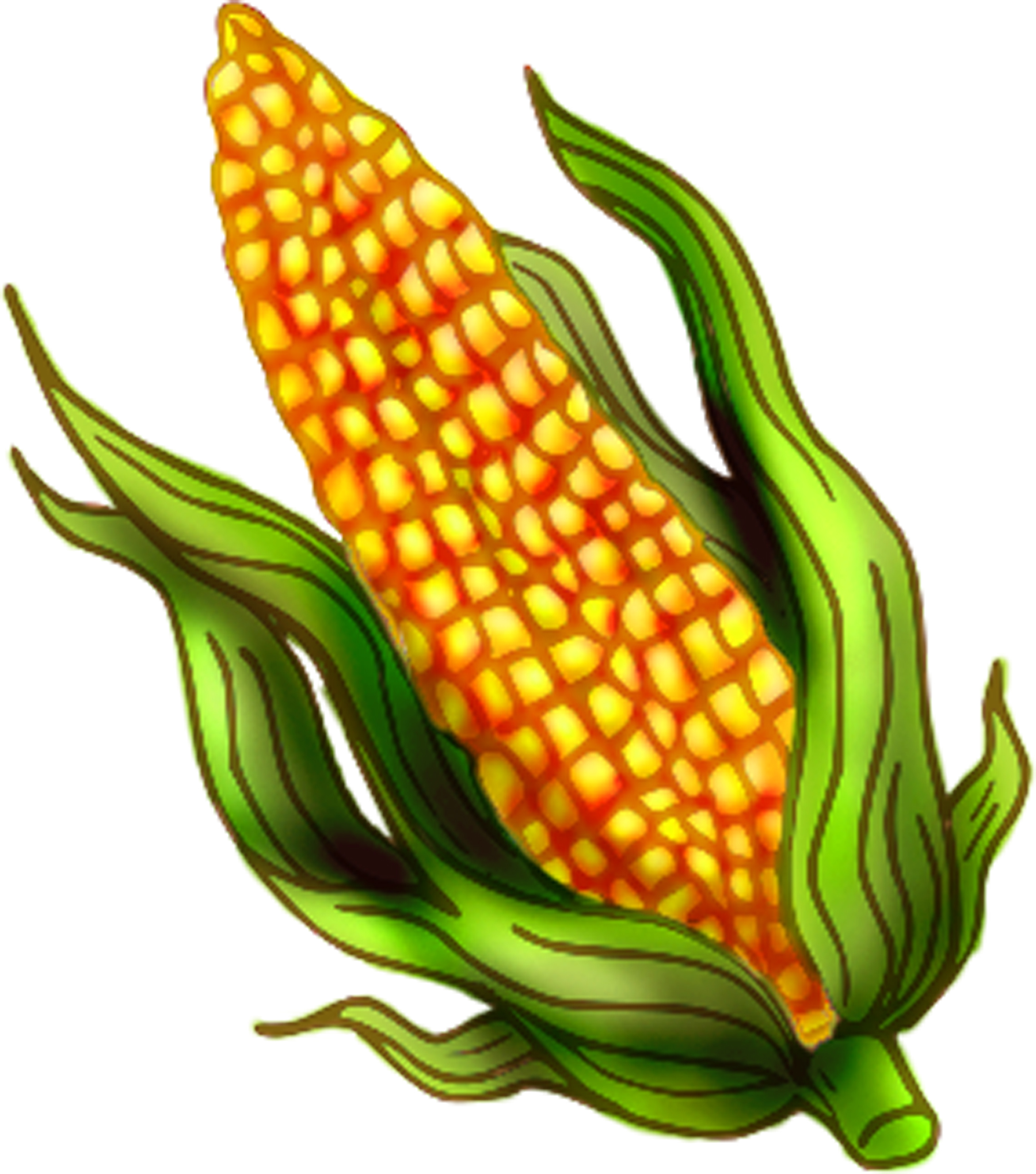 Free Sweet Corn Image 9 Of Image Clipart