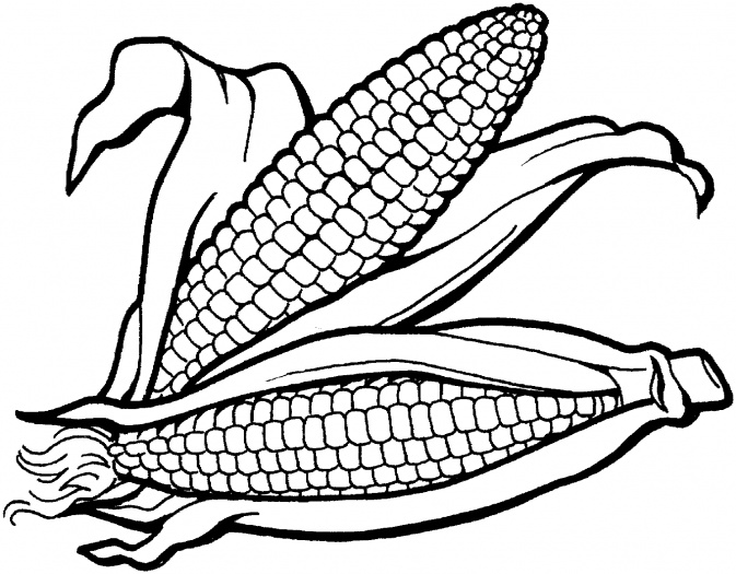 Corn Hd Image Clipart