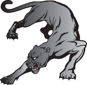 Cougar Panthers And Art On Free Download Png Clipart