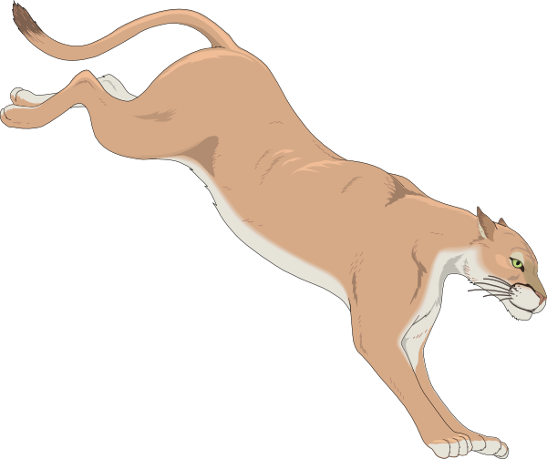 Free Cougar Png Images Clipart