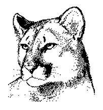 Free Cougar Pictures Idea Image Png Clipart