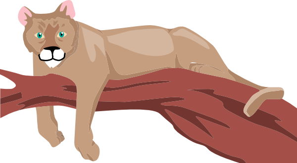 Free Cougar Png Image Clipart
