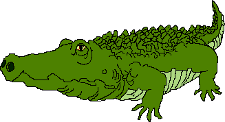 Crocodile Alligator Pictures Graphics Transparent Image Clipart
