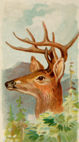 Virginian Deer Clipart