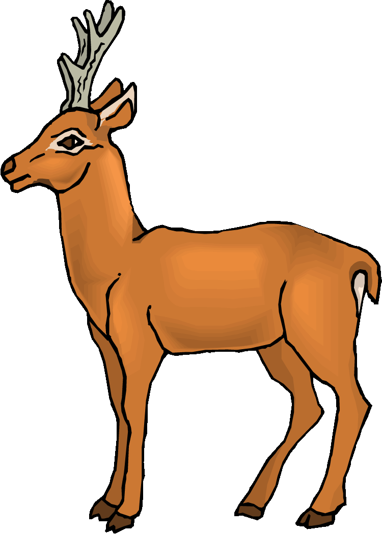 Cute Deer Images Free Download Clipart