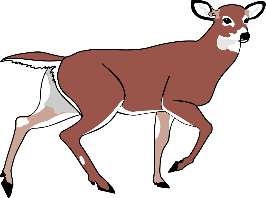 Deer Black And White Images Png Images Clipart