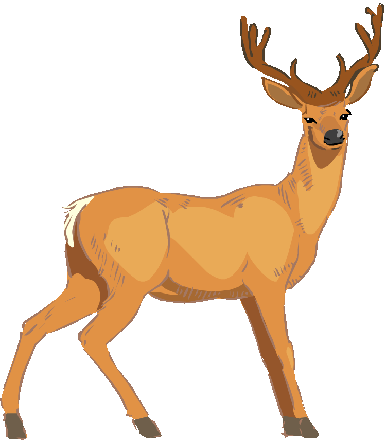Deer Vector Art Png Images Clipart