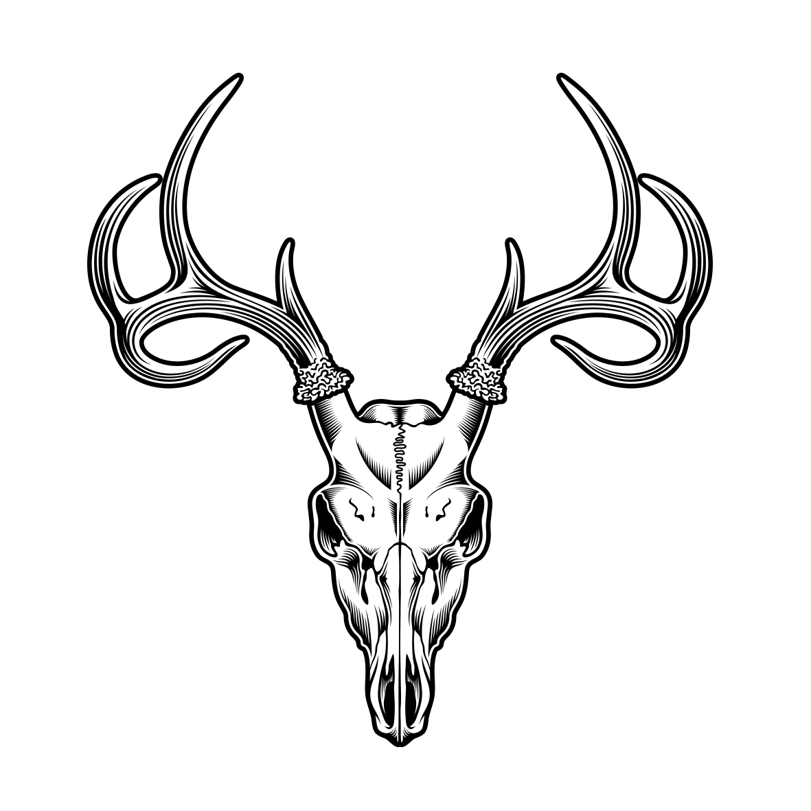 Sheep Tattoo Skull Deer Illustration Drawing Clipart