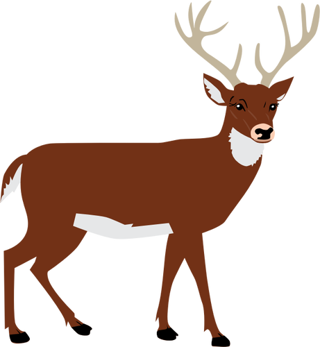 Male Deer Clipart