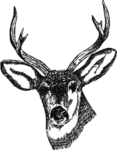 Deer Head With Horns Clipart