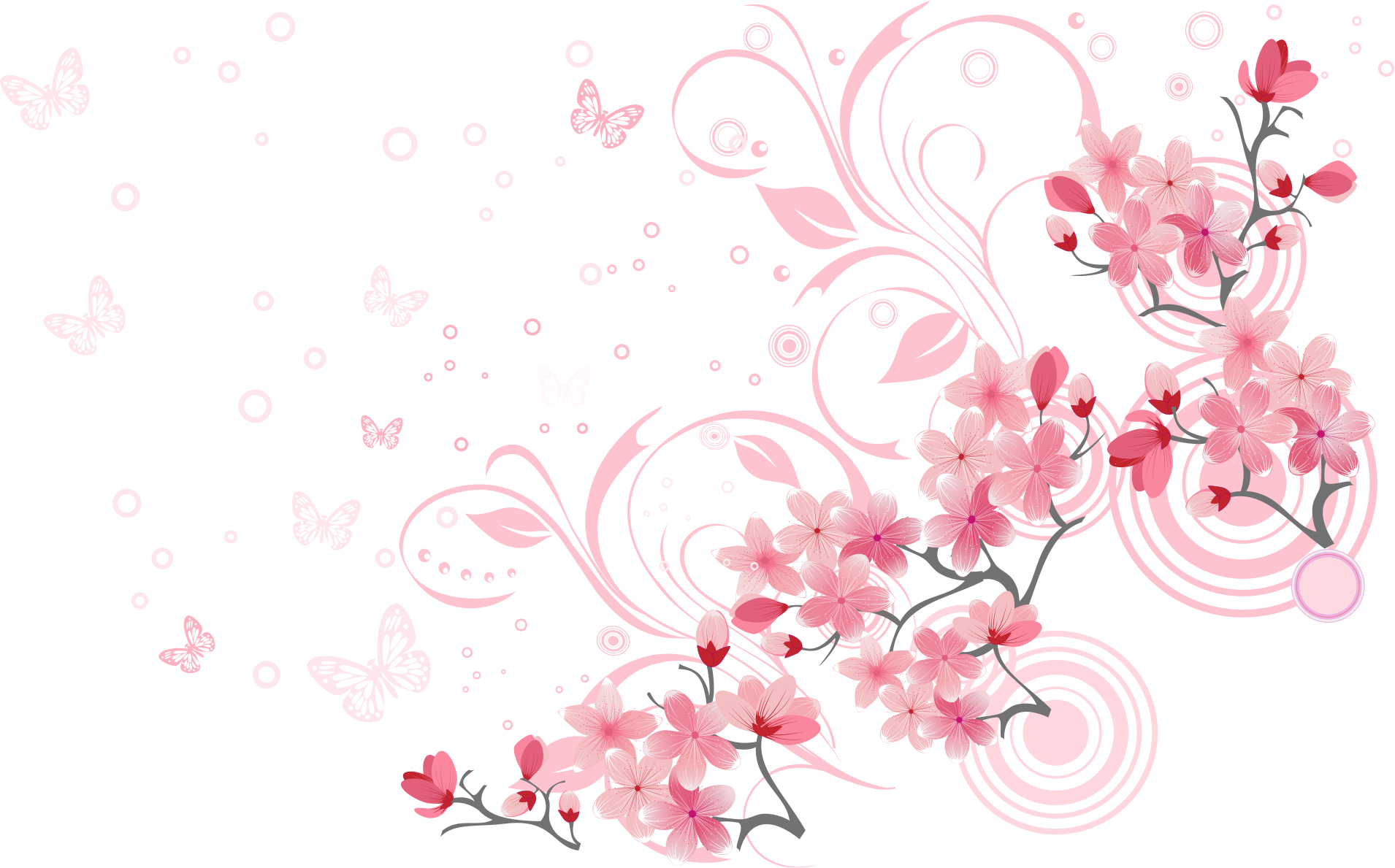 Beautiful Blossom Cherry Euclidean Vector Blossoms Clipart