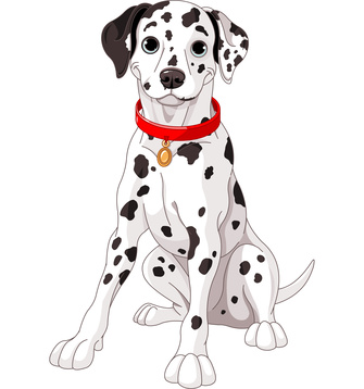 Dalmation Dog Pictures Of Dogs Hd Photos Clipart