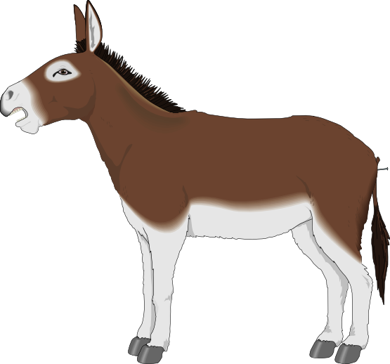 Donkey To Use Image Png Clipart