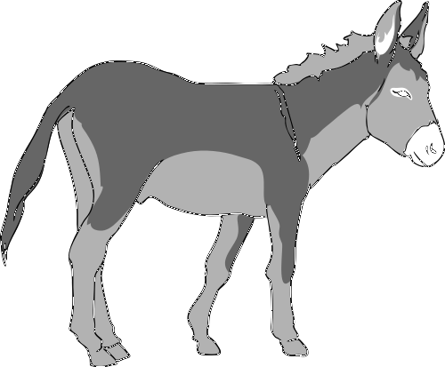 Donkey Images Download Png Clipart
