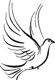 Dove Download Pentecost Pictures Wallpapers Pics Images Clipart