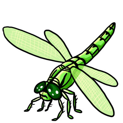 Free Dragonfly Drawings And Colorful Images Clipart