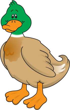 Duck For You Transparent Image Clipart