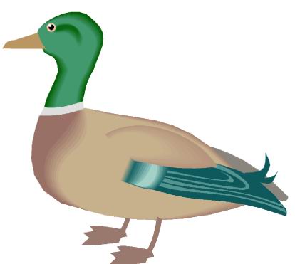 Clip Art About Ducks Dromgae Top Clipart