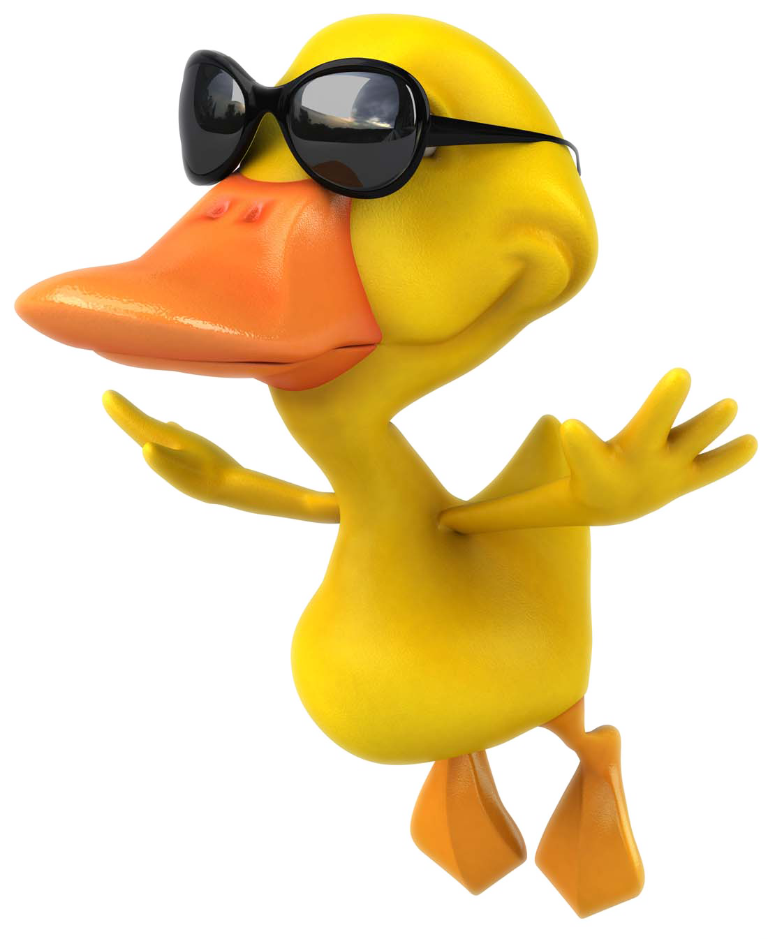 Pictures Photography Mallard Duck Cartoon Stock Clipart