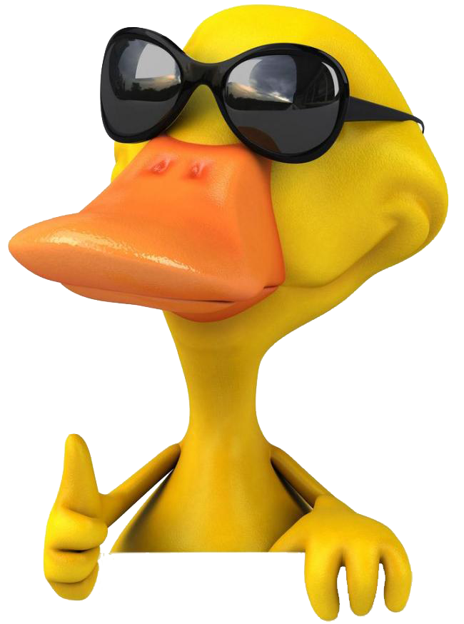 Photography Stock 3D Duck Free Frame Clipart