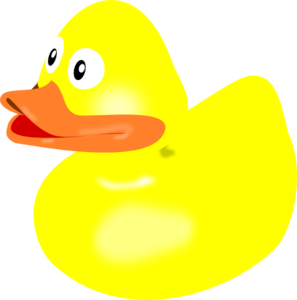 Ducks Dromgal Top Transparent Image Clipart