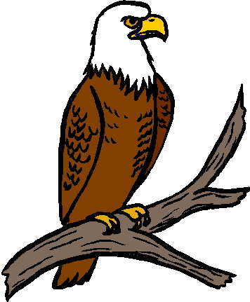 Bald Eagle Related Keywords Free Download Clipart