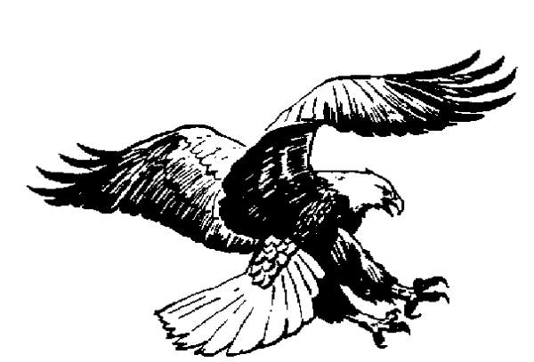Black White Eagle Images Gallery Png Images Clipart