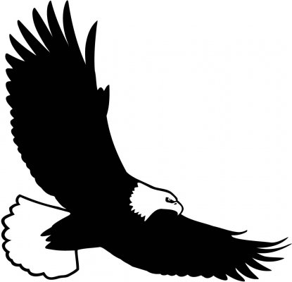 Bald Eagle Flying Hd Image Clipart