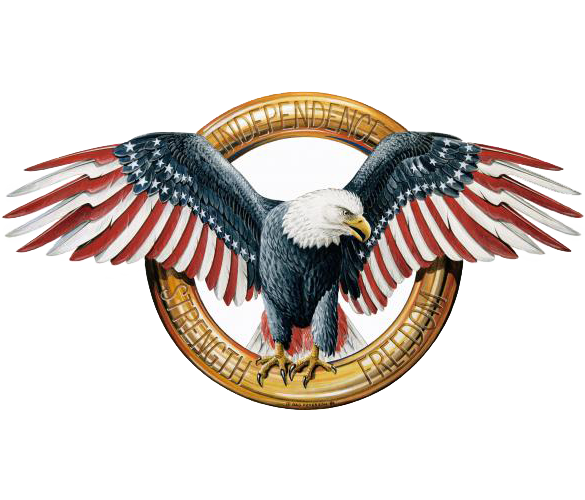 T-Shirt Eagle American Bald Outfitters Free Clipart HQ Clipart