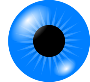 Eyeball Blue Eyes Images Free Download Clipart