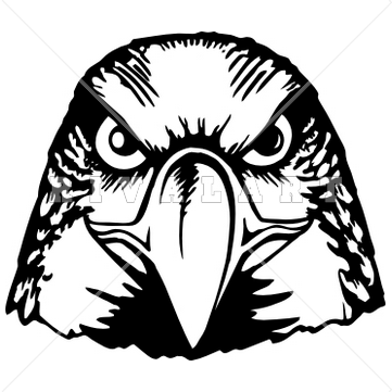Download Falcon Head Clipart Clipart PNG Free | FreePngClipart