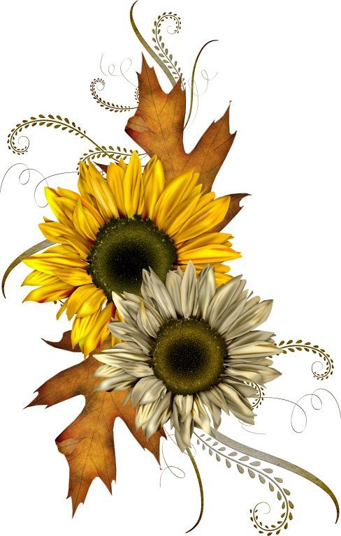 Free Fall Images About Autumn And Images Clipart