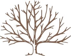 Family Tree Images Free Download Png Clipart