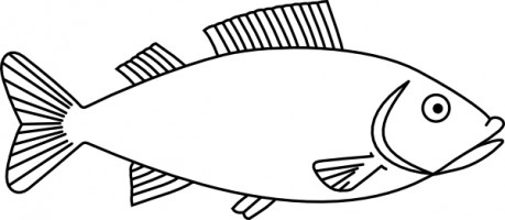Cartoon Fish Outline Vector For Download About Clipart