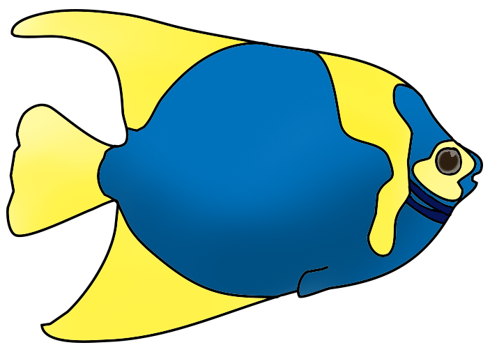 Colorful Fish Png Image Clipart